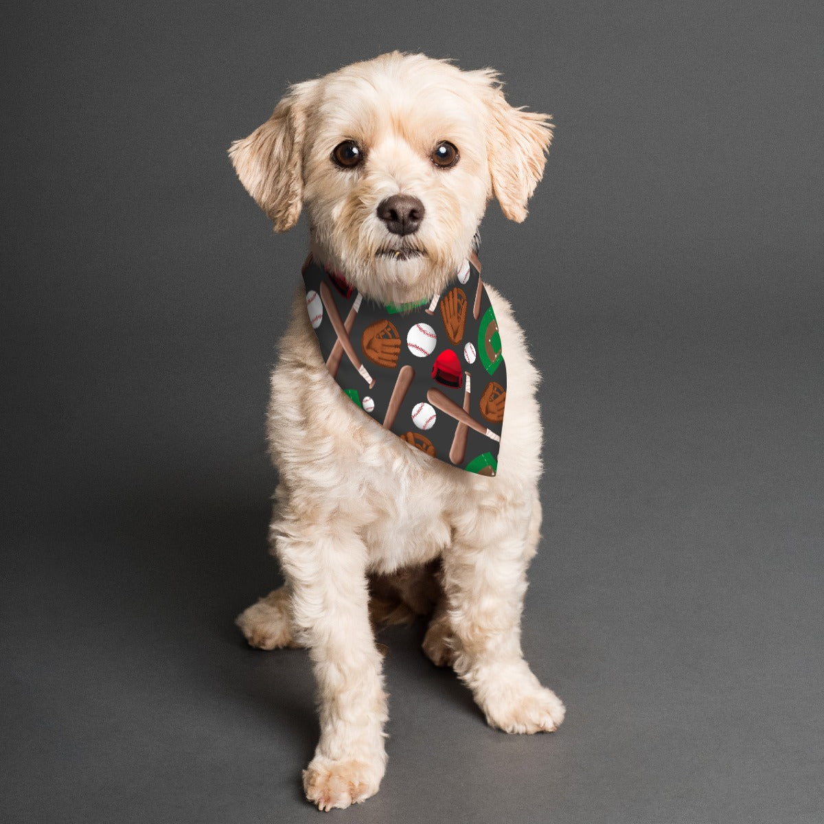 Batter Up Pet Bandana