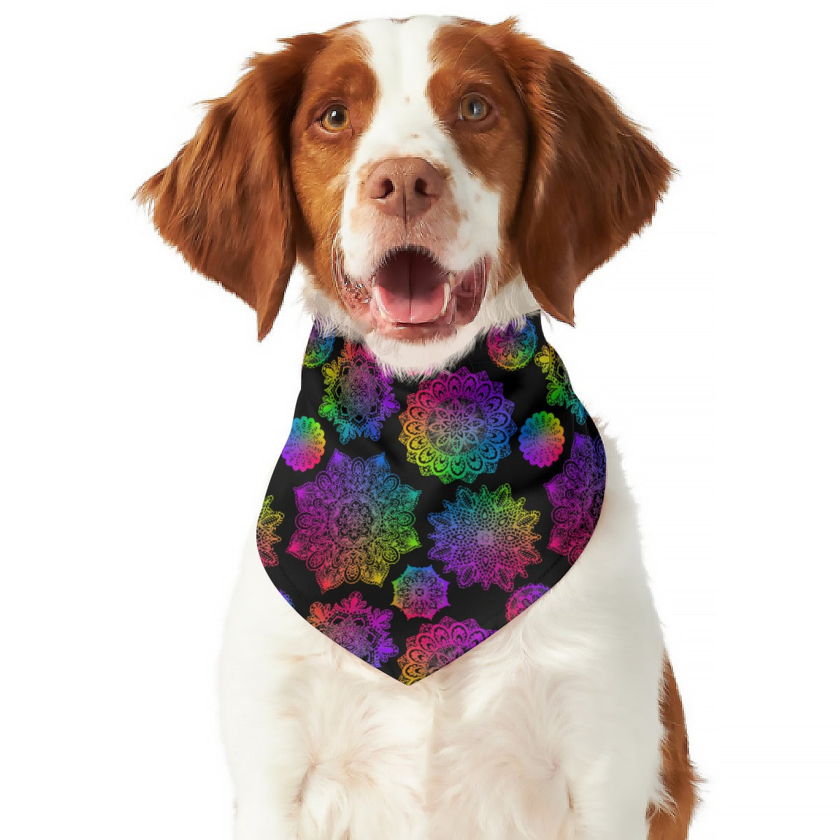 Rainbow Mandala Reversable Pet Bandana