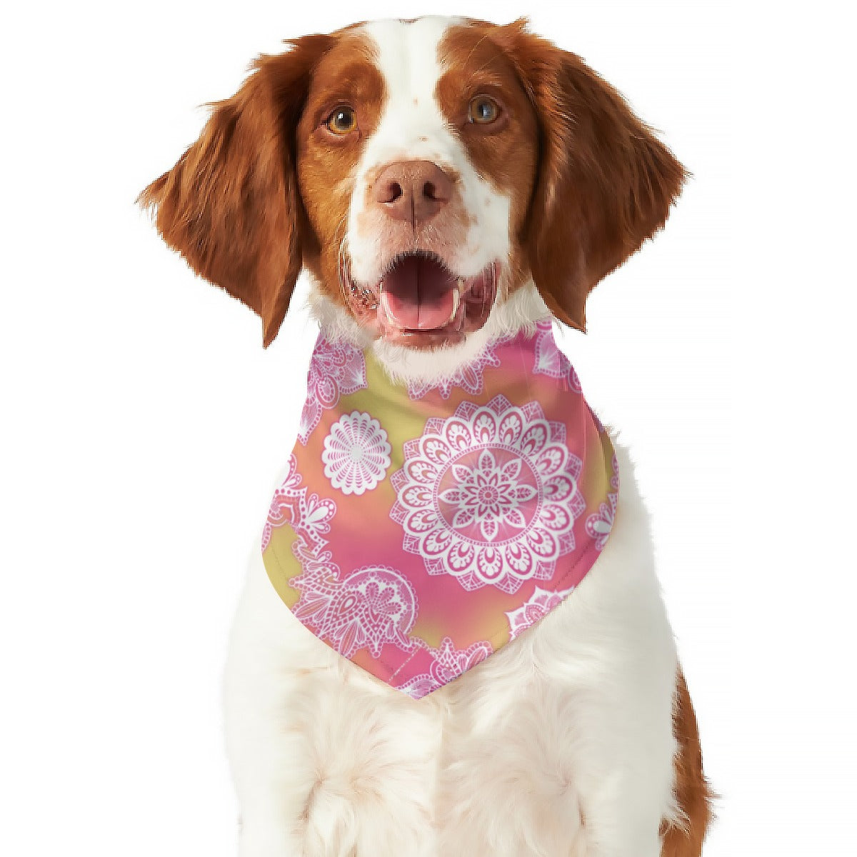 Bandana para mascotas con mandala rosa de doble cara