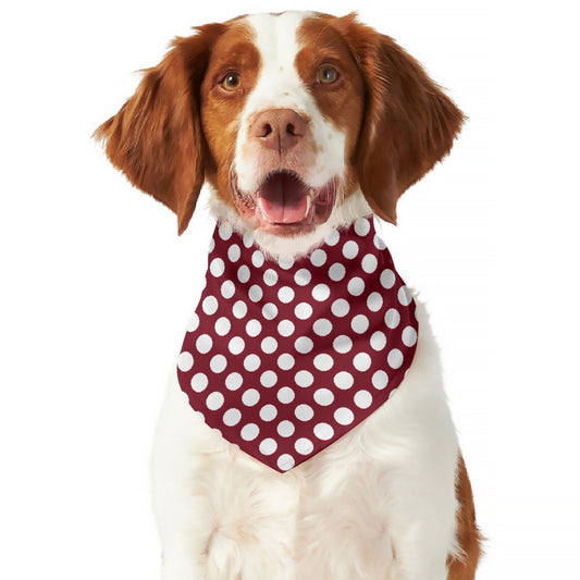 Polka Dot Reversible Pet Bandana