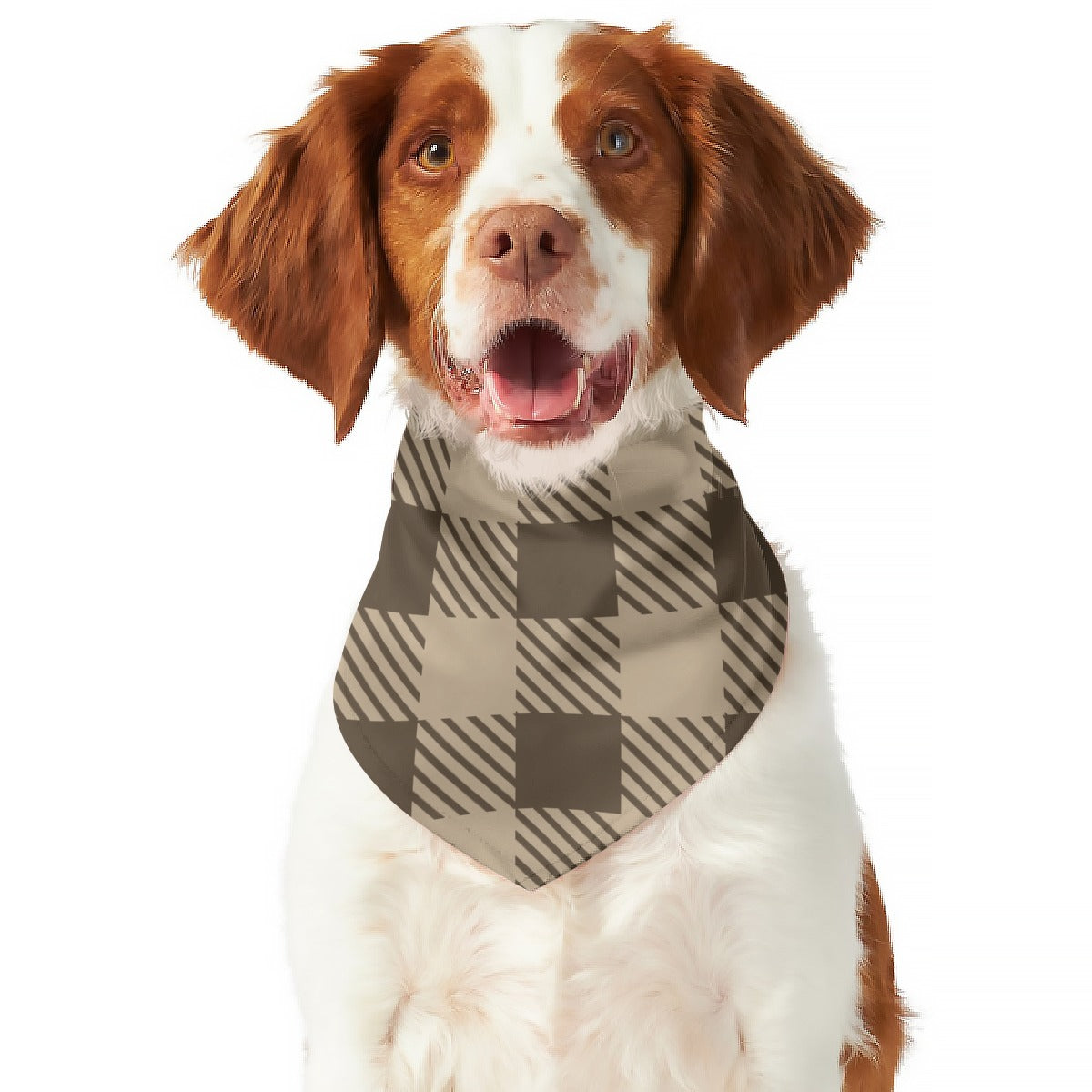 Fall Favorites Reversible Pet Bandana Plaid