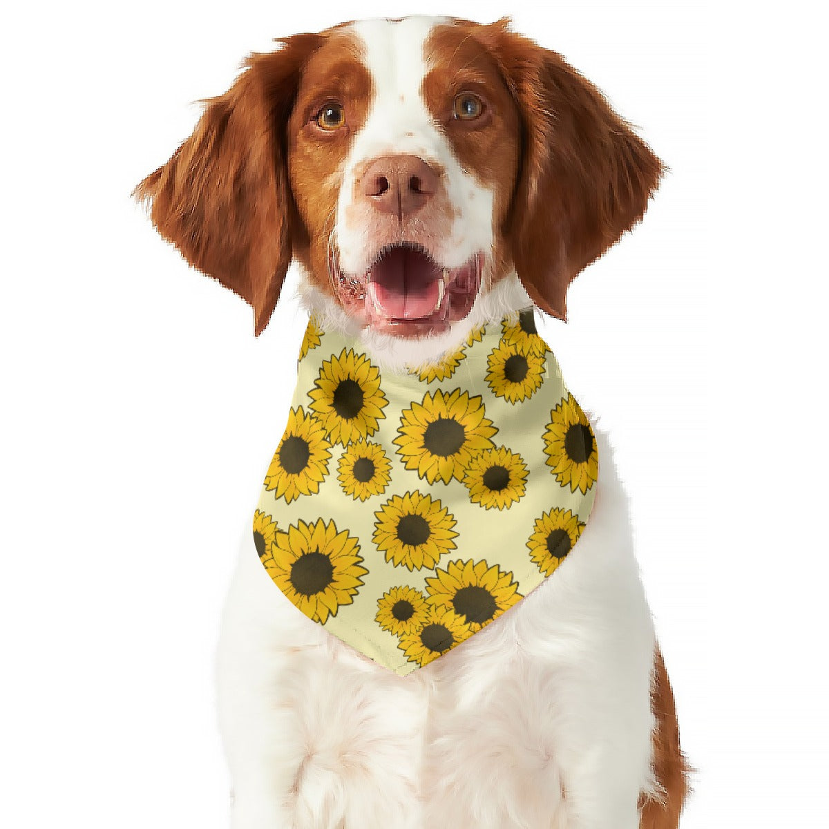 Fall Favorites Reversible Pet Bandana Plaid