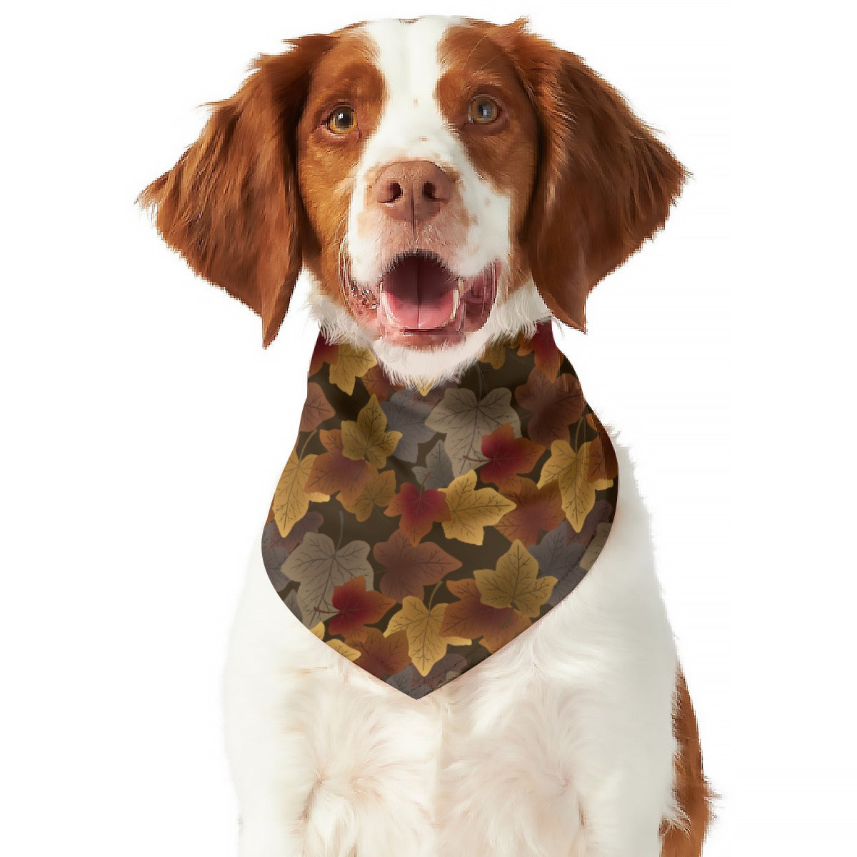 Fall Favorites Reversible Pet Bandana Plaid