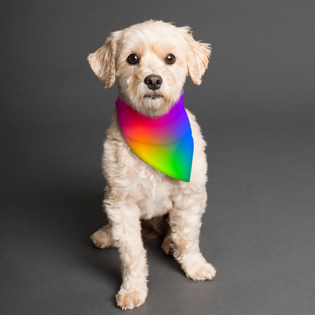 Rainbow Mandala Reversable Pet Bandana