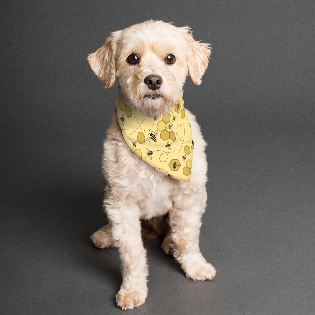 Bee-utiful Pet Bandana