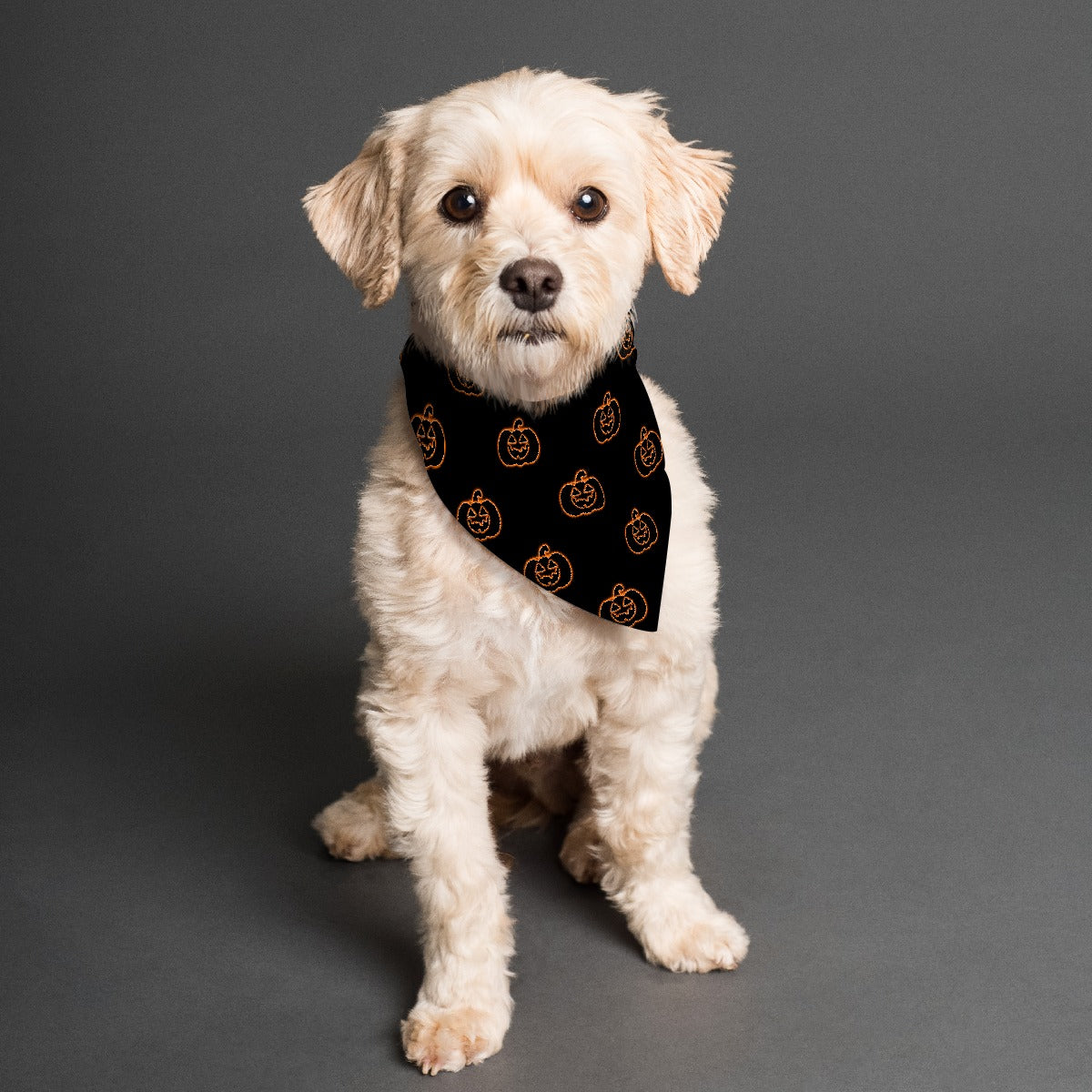 Neon Halloween Pet Bandana